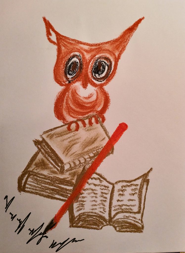 Owl - Soft pastel drwawing by Viktoriya Mikhaylova 2021